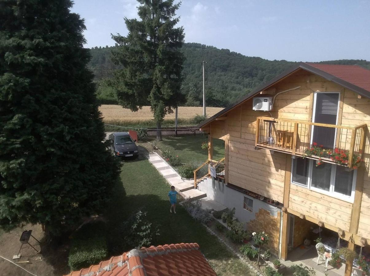 Apartment Civovic Rudnik