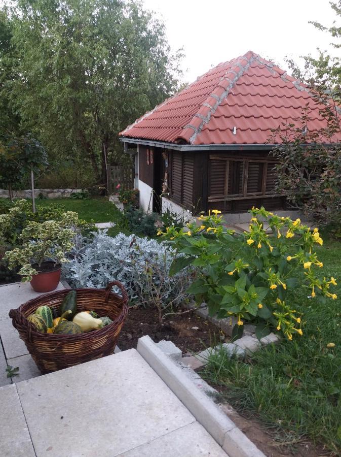 Civovic * Rudnik