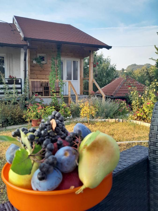Apartment Civovic Rudnik